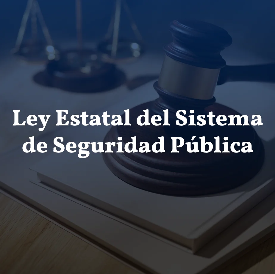Ley del Sistema Estatal de Seguridad Pública del Estado